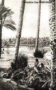 Colomb bechar 018- Collection Montaner_2